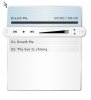 flash mp3player.jpg