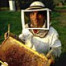 beekeeper