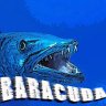 barracudaRec